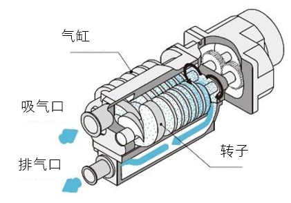 螺杆空压机泵头拆解图片