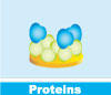 application_protein.jpg